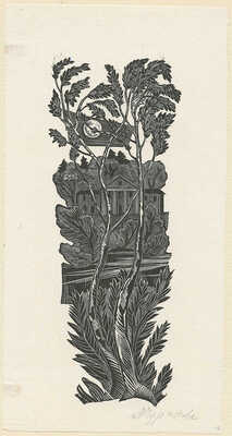 Чуракова Мария Сергеевна. Лот из семи ксилографий 